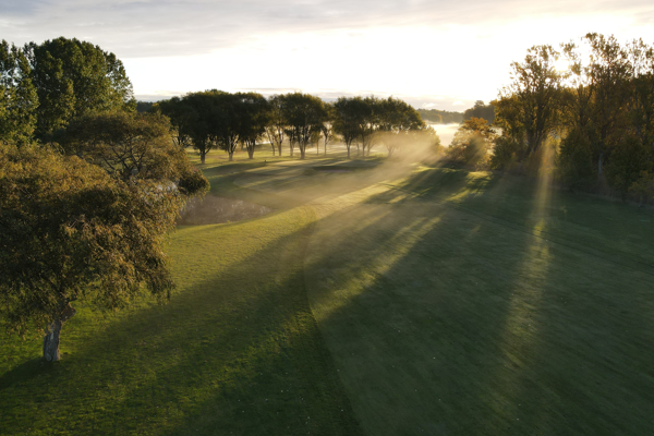 Feedback Players 1st