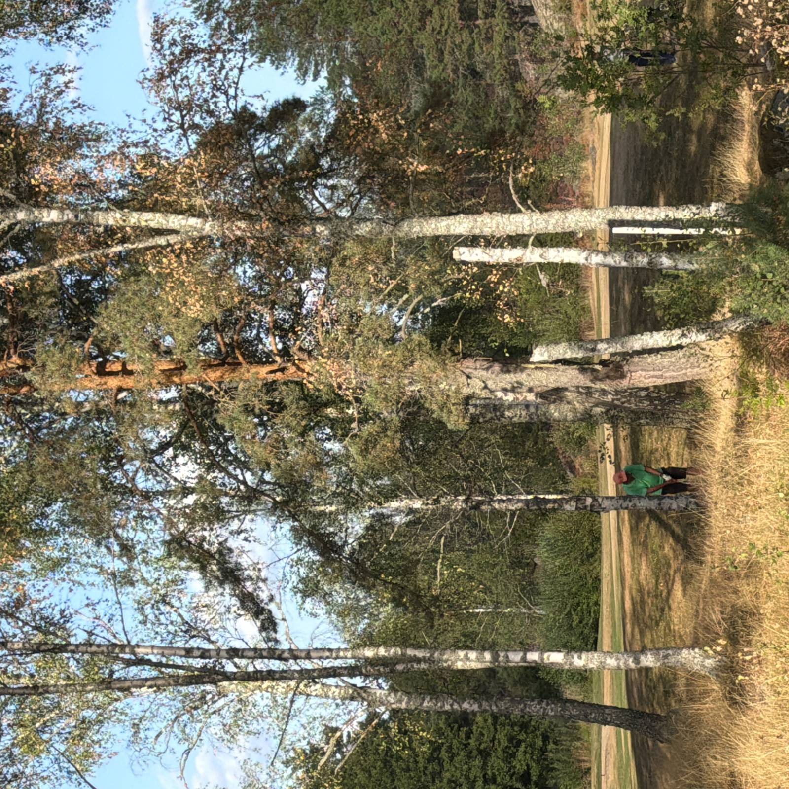 IMG 809448675