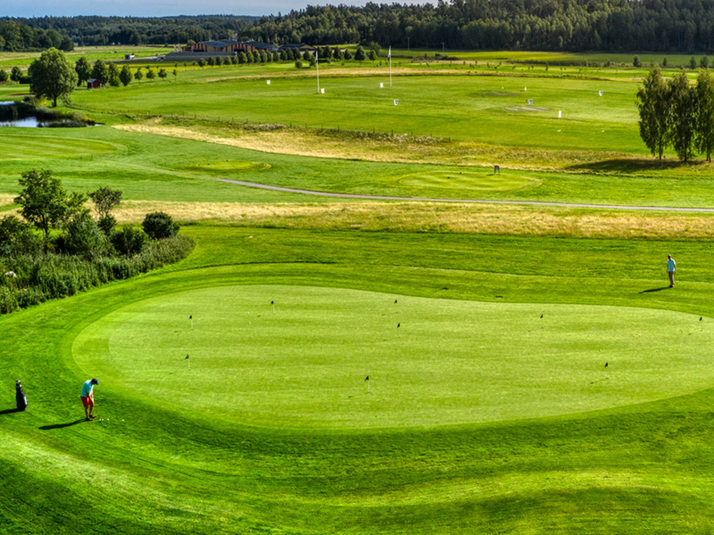 Våra populära nybörjarkurser