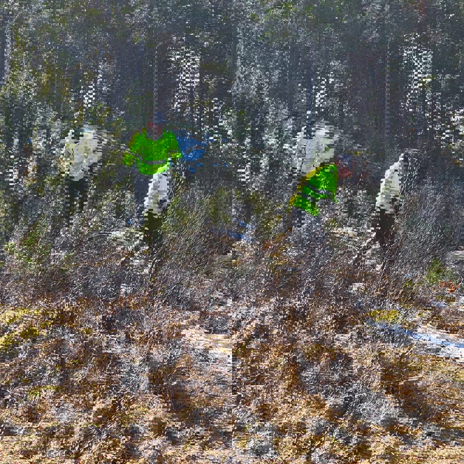 PHOTO 2026 03 09 14 47 31