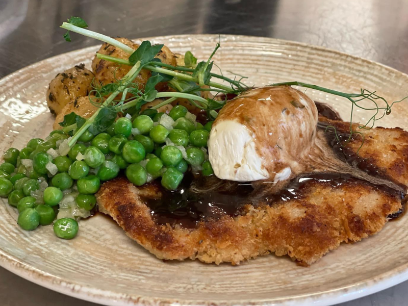 Hundringen på besök