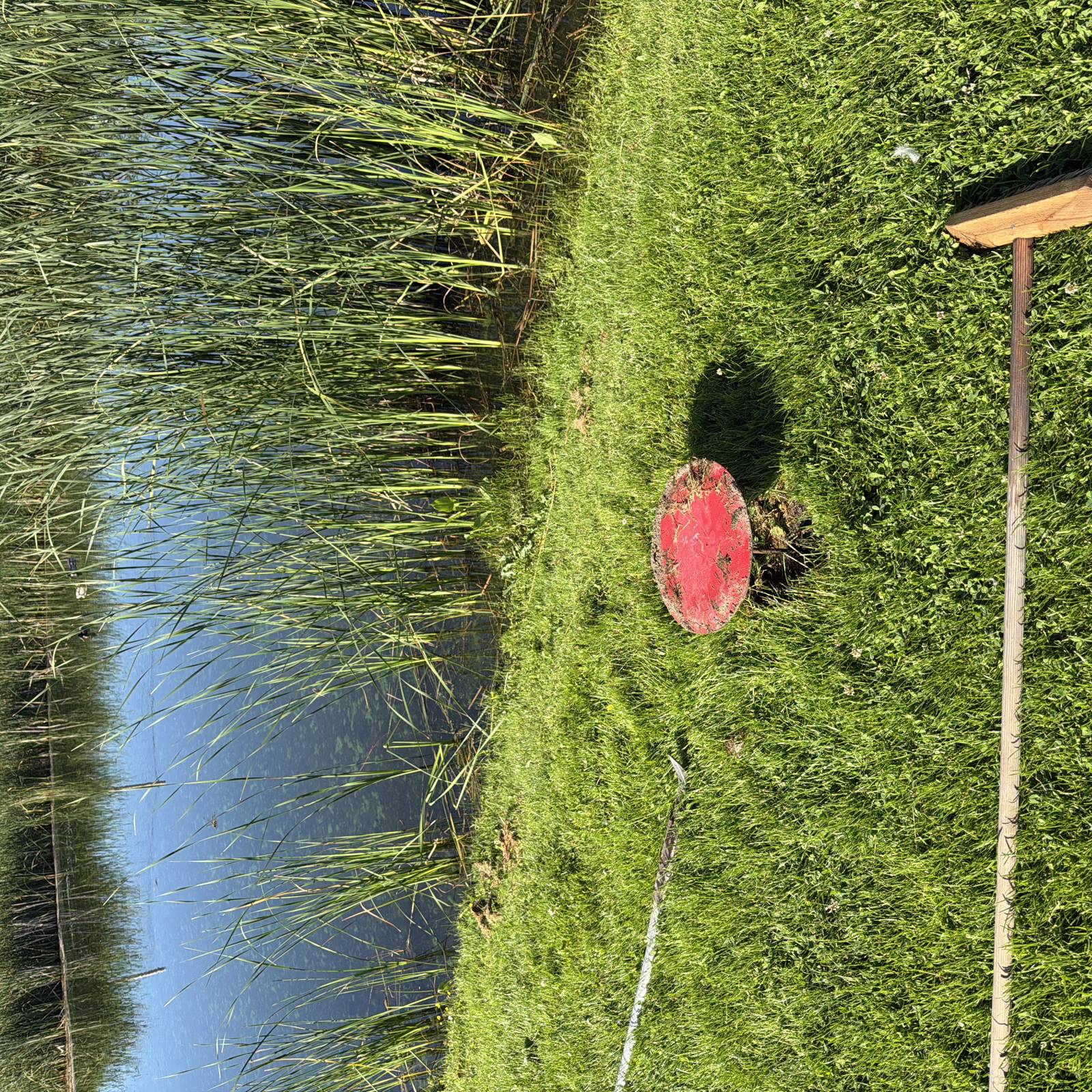 2026 06 22 08 26 53